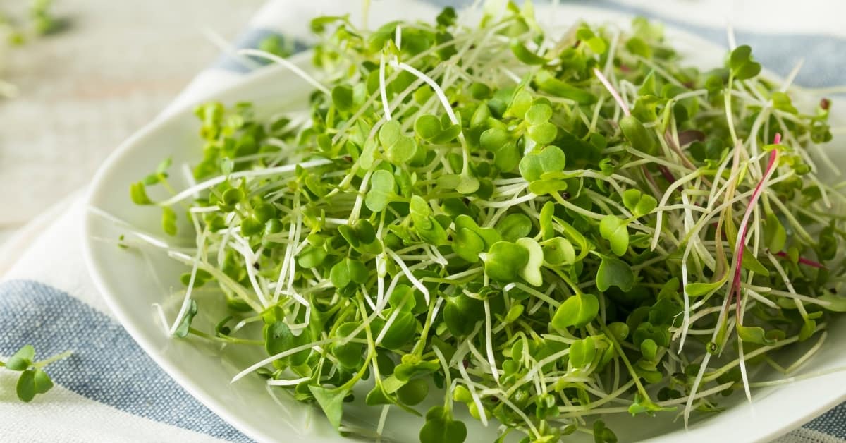 Eating Microgreens Raw