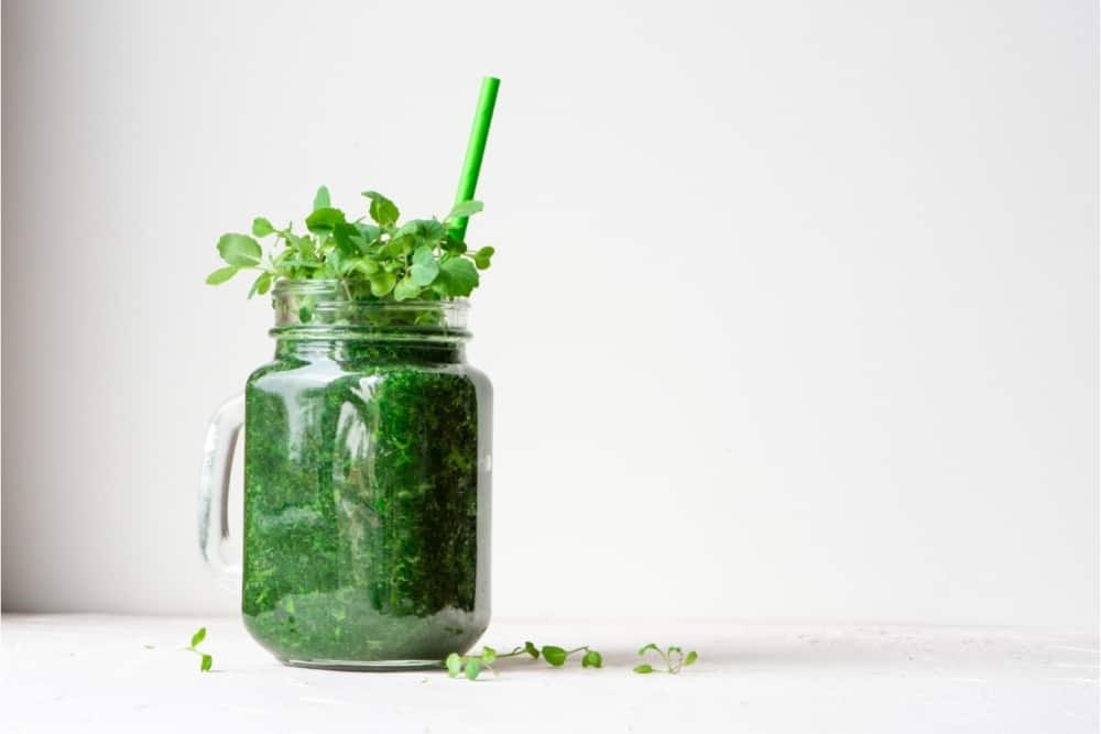 Spinach smoothies with microgreen