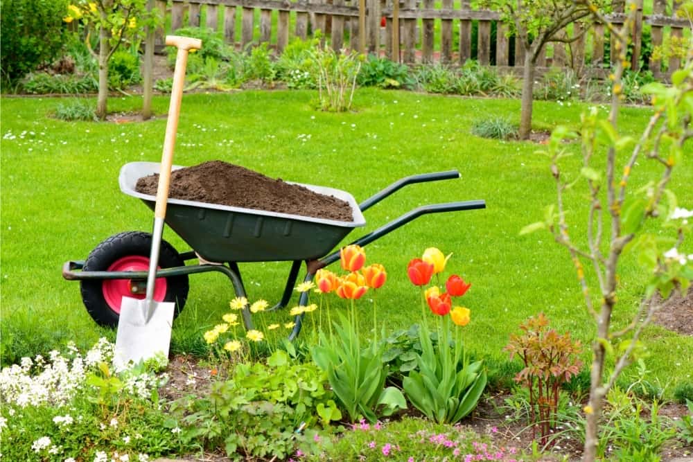 can you reuse microgreen soil